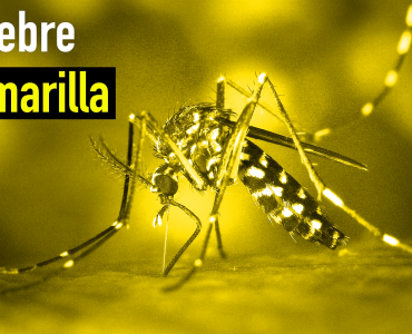 Foto tomada de Centro Clínico de Investigación